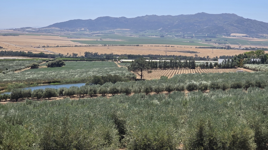 Commercial Property for Sale in Paarl Rural Western Cape